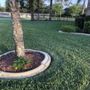 Photo of Pink Lawn Care