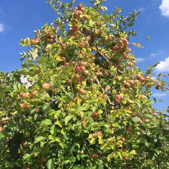 Demarest Farm - Farmers Market Near Me - Hillsdale, New Jersey