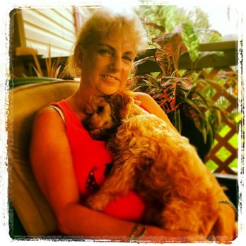 Just Pet Grooming - Pet Groomers Near Me - Oldsmar, Florida Just Pet Grooming - Pet Groomers Near Me - Oldsmar, Florida