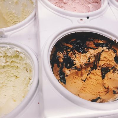 Maryland Dairy by null