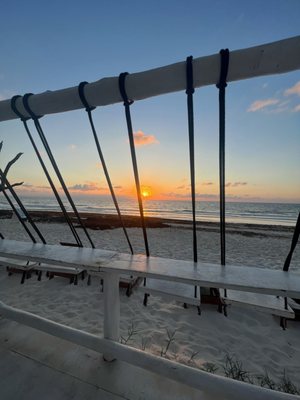 Coco Tulum by null