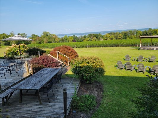 Buttonwood Grove Winery by null