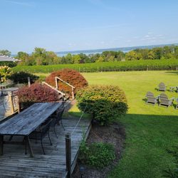 Buttonwood Grove Winery