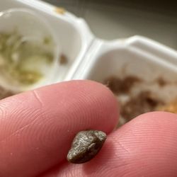 Rocks served in the beans