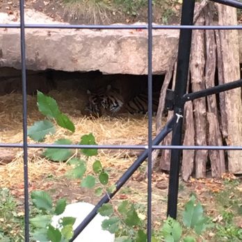 Toronto Zoo - Zoos Near Me - Toronto, Ontario Toronto Zoo - Zoos Near Me - Toronto, Ontario