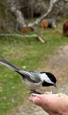 Elizabeth A. Morton National Wildlife Refuge by null