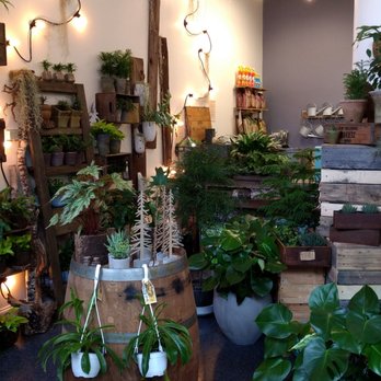 River Garden Studio 22 Photos Florists 39 Columbia St Albany Ny Phone Number Yelp