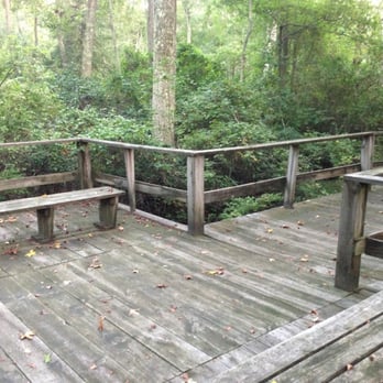 Estelle County Park - Center trail "bridge" seating area. - Parks Near Me - Mays Landing, New Jersey