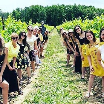 De Simone Vineyards - Vineyard - Wineries Near Me - Niagara-on-the-Lake, Ontario De Simone Vineyards - Vineyard - Wineries Near Me - Niagara-on-the-Lake, Ontario