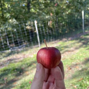 Hartland Farm and Orchard - Farmers Market Near Me - Markham, Virginia