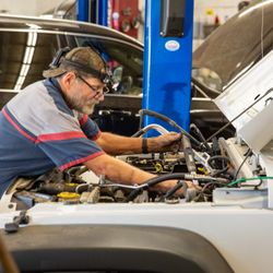 Frank's Auto Service and Repair - Darryl getting into the thick of it