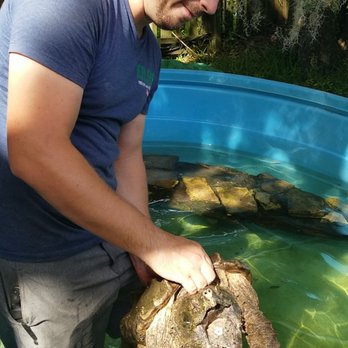 Croc Encounters - Snapping turtle! - Zoos Near Me - Tampa, Florida