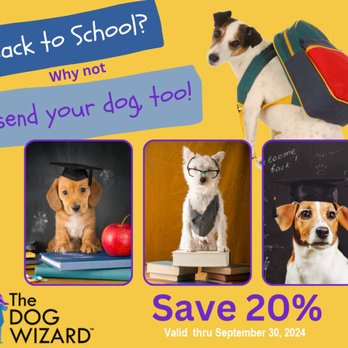 The Dog Wizard- Medina - flyer - Pet Training Near Me - Medina, Ohio The Dog Wizard- Medina - flyer - Pet Training Near Me - Medina, Ohio
