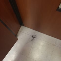 Burlington - Dirty dressing room (looks like someone's fake hair?)  could use some cleaning and organization in dressing room area...