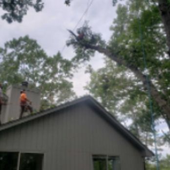 Hunnicutt Tree Service - Tree Services Near Me Hunnicutt Tree Service - Tree Services Near Me