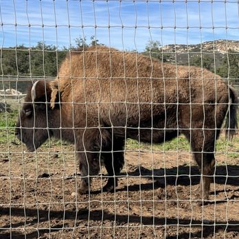 Alpine Acres Sanctuary Farm - Ranches Near Me - Alpine, California