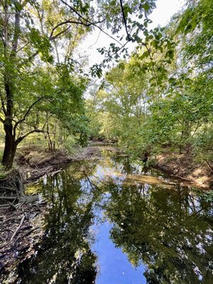 Cherokee Park by null