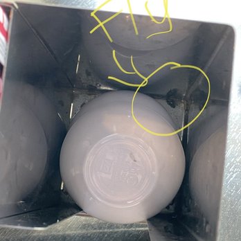 Simply Pho - One fly.  I think the other black spots are bits of other flies.  This poor soul has been dead here for 3 weeks.  No one cleaned it lol. - Vietnamese Near Me - Lake Forest, California