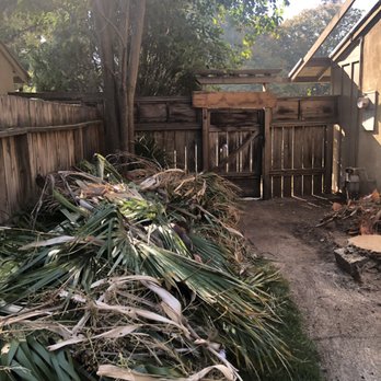 Garcia´s Tree Service - the palm tree cut down - Tree Services Near Me Garcia´s Tree Service - the palm tree cut down - Tree Services Near Me