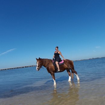 CPonies - Horseback Riding Near Me - Bradenton, Florida CPonies - Horseback Riding Near Me - Bradenton, Florida