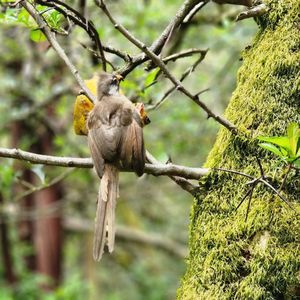 Woodland Park Zoo on Yelp