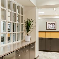 ND Orthodontics - NDO office