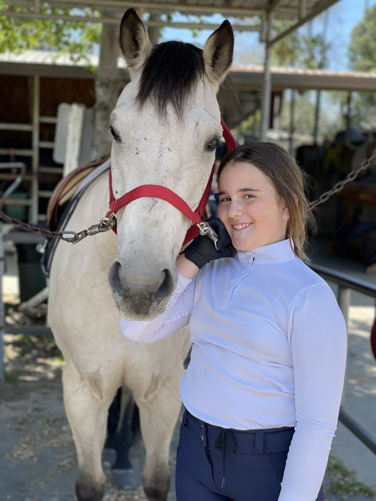 Traditional Equitation School - equestrian in Burbank, CA