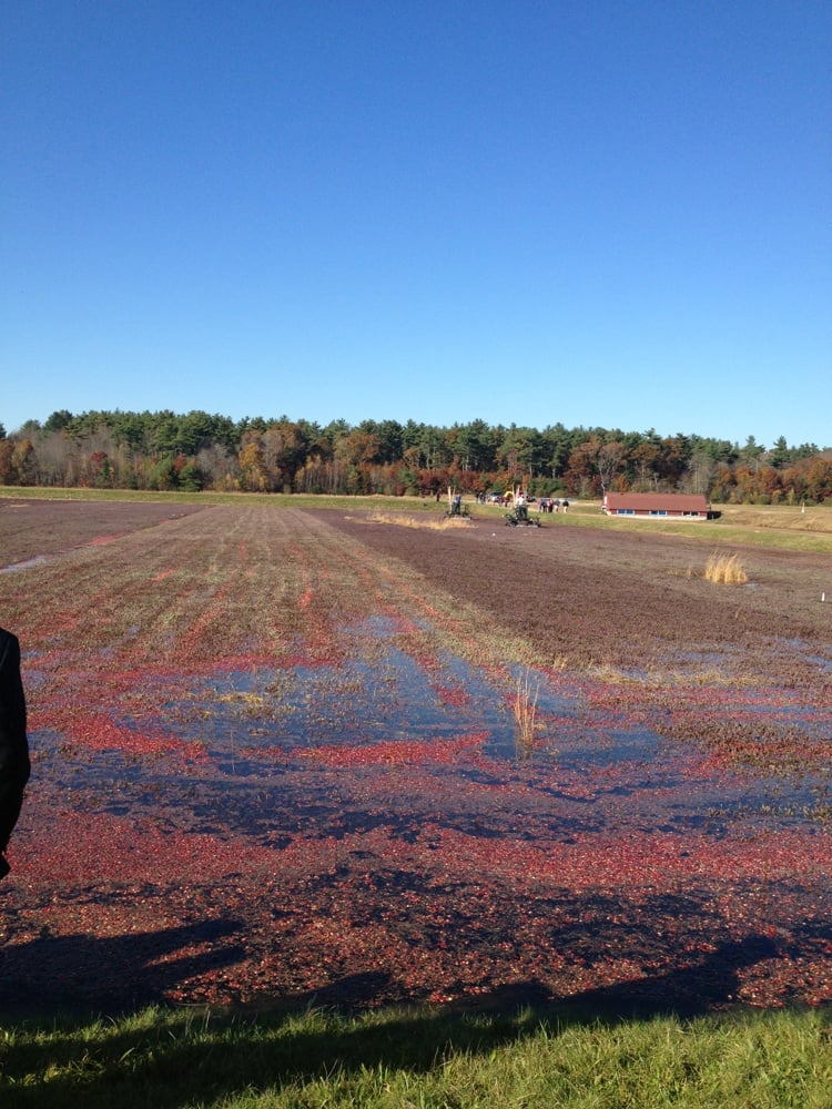 OCEAN SPRAY CRANBERRIES Updated April 2024 60 Old Federal Rd