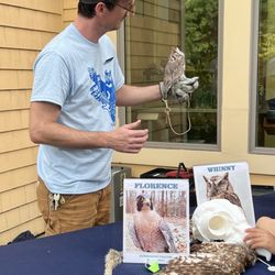Boston Nature Center & Wildlife Sanctuary - Whinny, the screech owl did a meet and greet