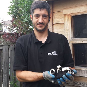 360 Wildlife Control - Pest Control Near Me - Vaughan, Ontario 360 Wildlife Control - Pest Control Near Me - Vaughan, Ontario