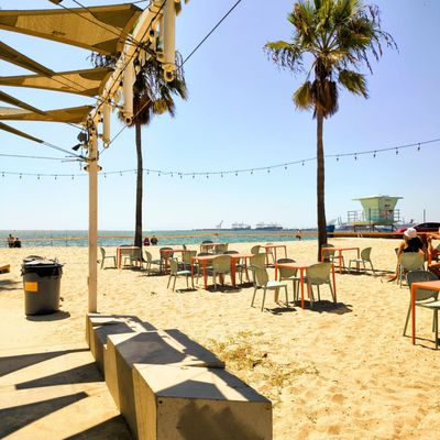 SALTWATER DECK by null