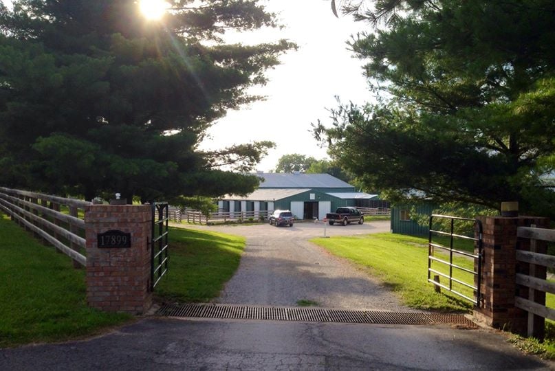 QUARTER LINE DRESSAGE Updated September 2024 17899 Wild Horse Creek