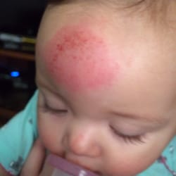 Windsong Child Care & Preschool