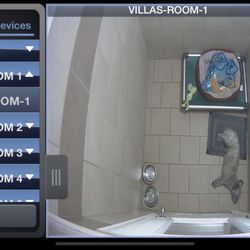 PetSafe Village - My dog sleeping in The Villa Suite. This is a screenshot from the puppy cam app they use so owners can check in on their pups!