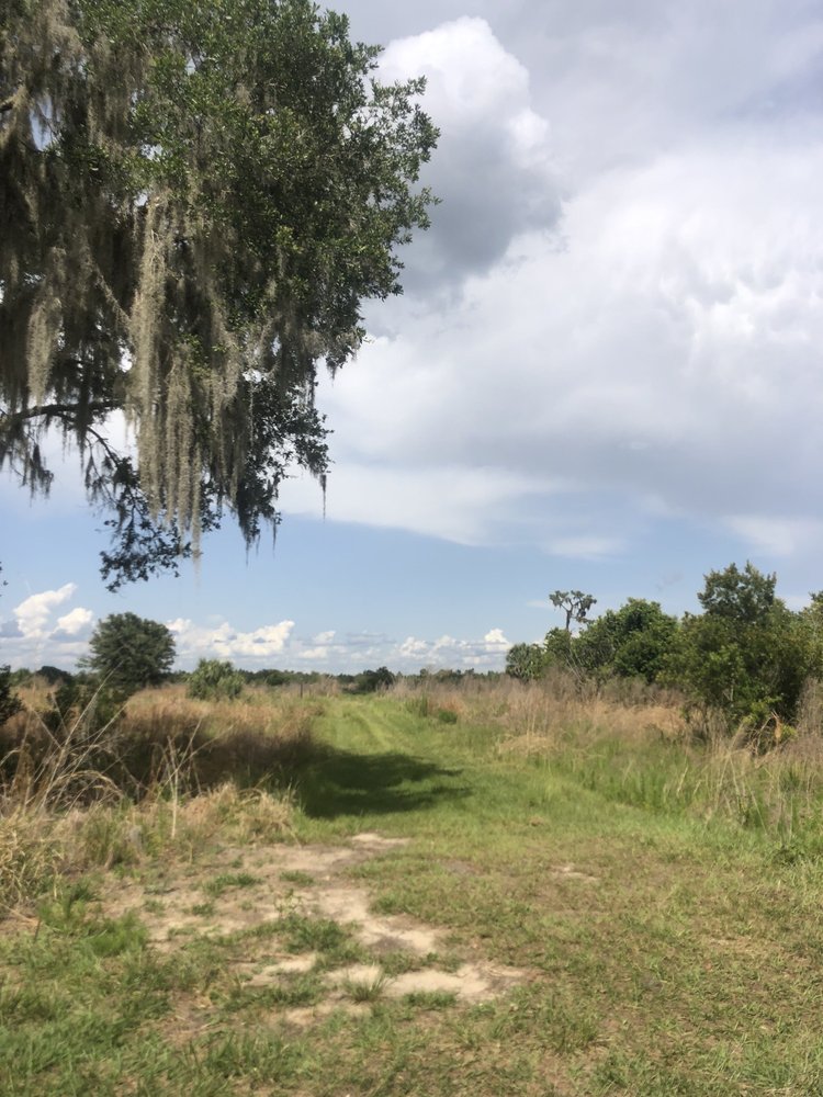 Chito Branch Reserve - equestrian in Lithia, FL