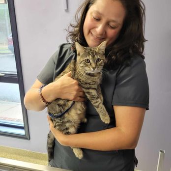 Hollymead Veterinary Hospital - Veterinarians Near Me - Charlottesville, Virginia Hollymead Veterinary Hospital - Veterinarians Near Me - Charlottesville, Virginia
