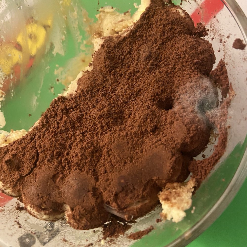 Mold and glass shard in my tiramisu Mold and glass shard in my tiramisu