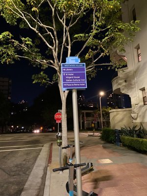 Palihotel Westwood Village by null