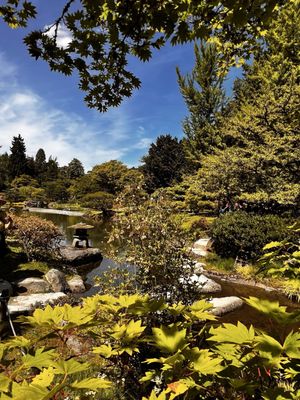 Seattle Japanese Garden by null
