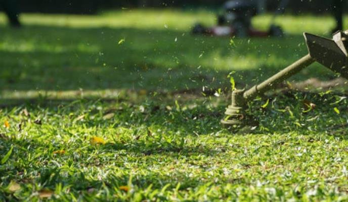 Green Guy Lawn Services - tree service in Springfield, MA