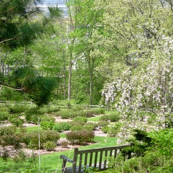 Nichols Arboretum - Parks Near Me - Ann Arbor, Michigan