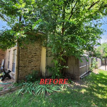 Hernandez Tree Care - before and after - Landscaping Near Me Hernandez Tree Care - before and after - Landscaping Near Me