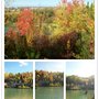 Photo of Parc L'Ermitage