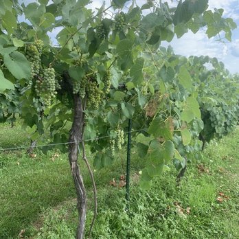 RockSide Winery and Vineyards - Beer, Wine & Spirits Near Me - Lancaster, Ohio RockSide Winery and Vineyards - Beer, Wine & Spirits Near Me - Lancaster, Ohio