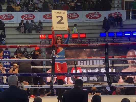 Monumental Plaza de Toros by null