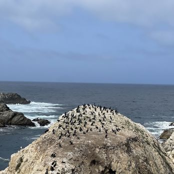 China Cove - Parks Near Me - Carmel-by-the-Sea, California
