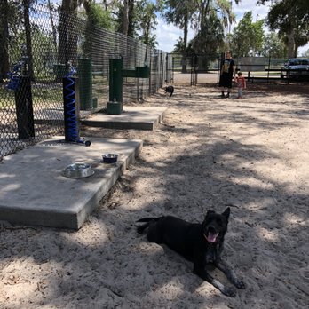 Arbor Park Dog Park - Pets Near Me - Longwood, Florida Arbor Park Dog Park - Pets Near Me - Longwood, Florida