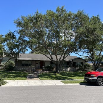 Kalbfleisch & Sons - Beautifully trimmed oak trees - Tree Services Near Me - Corpus Christi, Texas Kalbfleisch & Sons - Beautifully trimmed oak trees - Tree Services Near Me - Corpus Christi, Texas