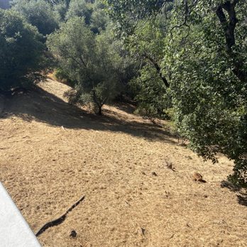 Northcali Landscaping & Tree Services - Landscaping Near Me - Sonora, California