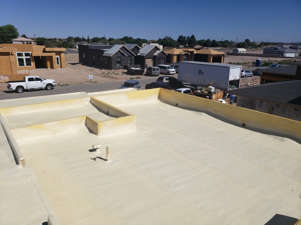 Slide of SPF Services